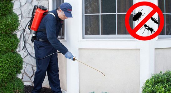 Vakfıkebir Böcek ve Haşere İlaçlama böcek ilaçlama ve haşere kontrolü — ilaclama-tr.com